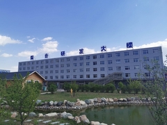 Introdução da indústria Risever